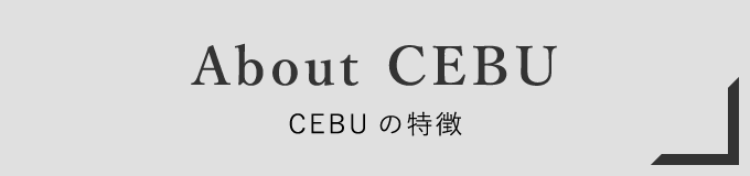 About CEBU CEBUの特徴