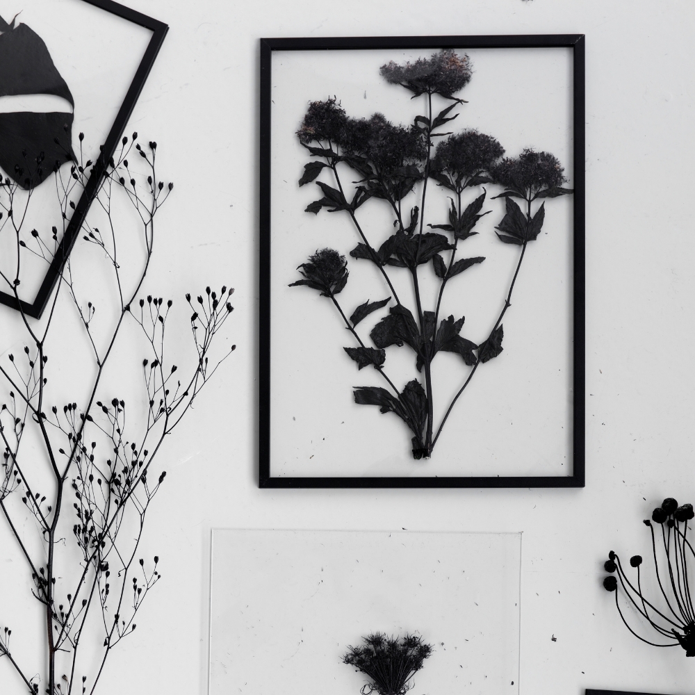 FAB40x50 フレーム 40x50cm (ブラック) 