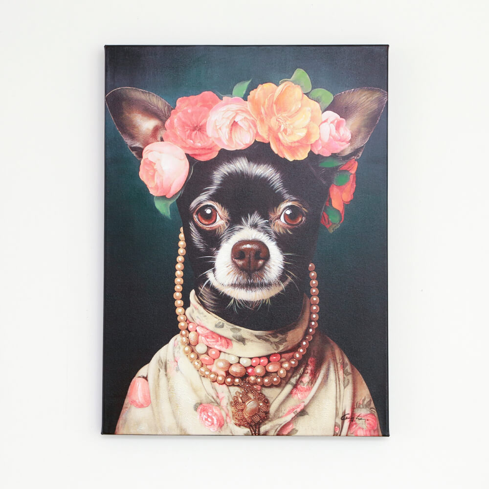 Dress Up (ドレスアップ) 53×73cm【撮影使用現品】 