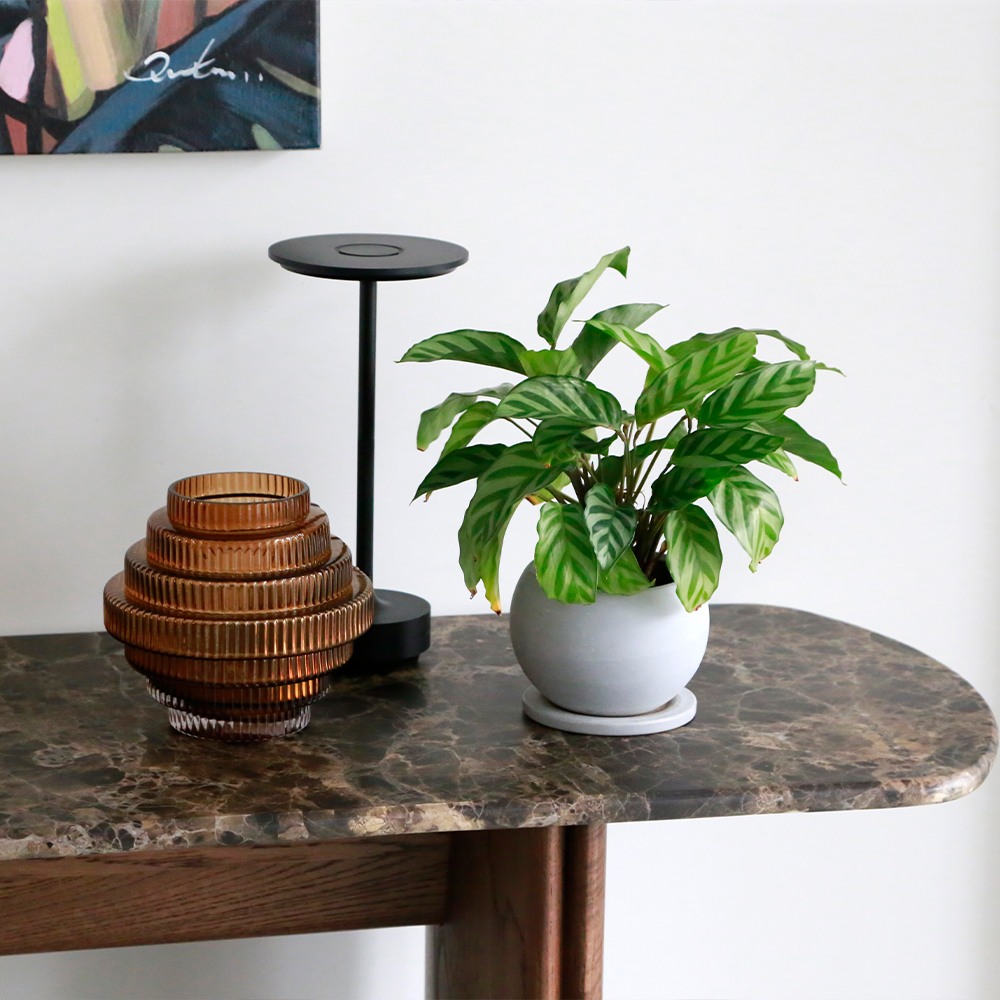 TATHRA console 150 Dark Emperador top-Espresso Oak leg 