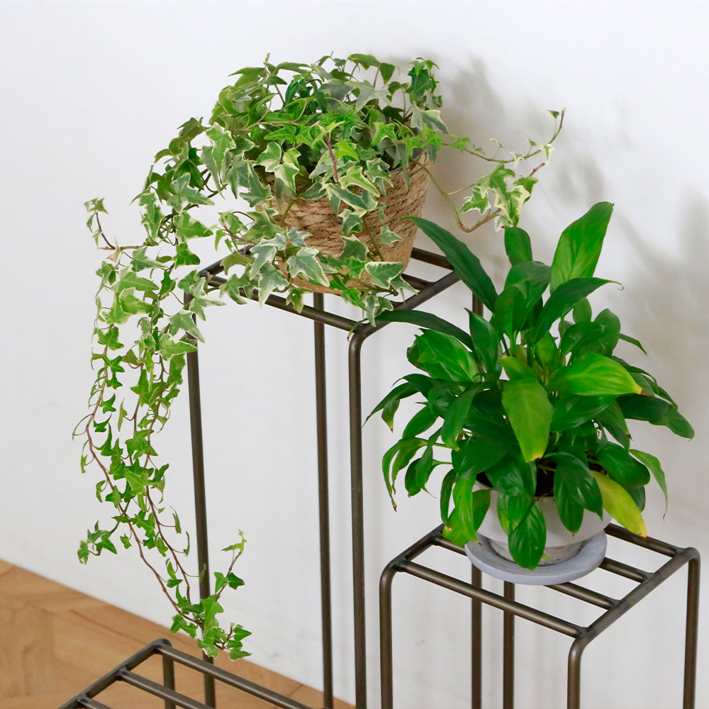 KNOP plant stands（3 pieces set） 
