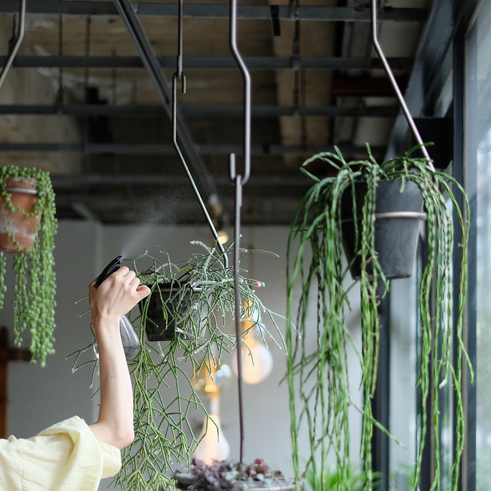 PLOP HANGING HOLDER（M） 