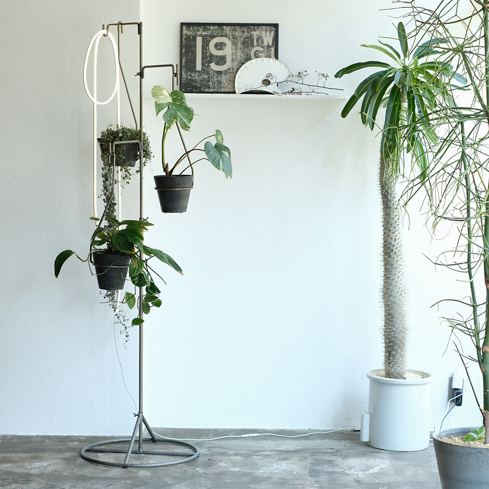 PLOP HANGING HOLDER（M） 