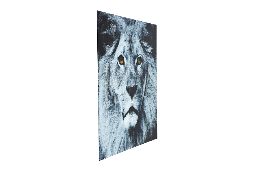 【廃番】Picture Glass Face Lion 80x80cmインテリア