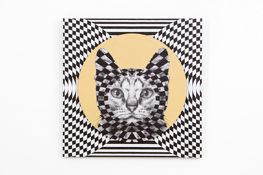 ジオ キャット 70×70cm 