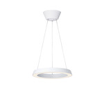 Loop LED-pendant light （ループペンダントライト） ※付属のシェードを取り外した状態