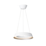 Loop LED-pendant light （ループペンダントライト） WH/CGD