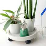 WH PLANTS TRAY(プランタートレイ)(WH) WH