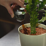 TWO TONE WATER DISPENSER（ツートン ウォーター ディスペンサー）GR×AM 