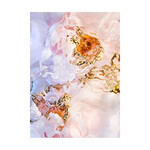 Flora Aquatica 03 50x70 