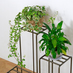 KNOP plant stands（3 pieces set） 