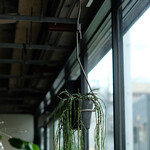 PLOP HANGING HOLDER（S） 