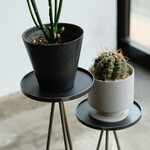 KINO 3 LEGGED TOWER（M） 