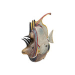 フィッシー 29cm デコフィギア 