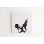 【在庫なし】パピヨン 50×50cm 