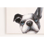 【在庫なし】パピヨン 50×50cm 
