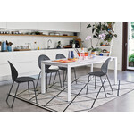 カリガリス バジル ダイニングチェア ／ Calligaris BASIL Dining chair[CS1359] P16 