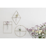 【在庫なし】PIKE (ピケ) wall brass vase (ウォールブラスベース) ROUND 
