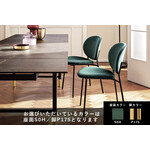カリガリス イネス ダイニングチェア ／ Calligaris Ines Dining chair[CS2004] S0H 