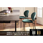 カリガリス イネス ダイニングチェア ／ Calligaris Ines Dining chair[CS2004] S0L 