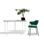 カリガリス コヌビア シニョリーナ ダイニングチェア ／ Calligaris SIGNORINA Dining chair[CB2111] SKS 
