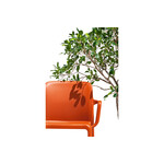 カリガリス コヌビア バヨ ダイニングチェア ／ Calligaris BAYO Dining chair[CB2119] P2L 