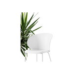 カリガリス コヌビア トゥカ ダイニングチェア ／ Calligaris TUKA Dining chair[CB1999-E] 