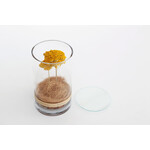 DRY CYLINDER with LID　Achillea 