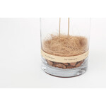 DRY CYLINDER with LID　Achillea 