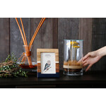 DRY CYLINDER with LID　Achillea 