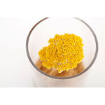 DRY CYLINDER with LID　Achillea 
