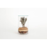 DRY CYLINDER with LID　Brunia 