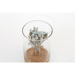 DRY CYLINDER with LID　Brunia 