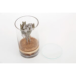 DRY CYLINDER with LID　Brunia 