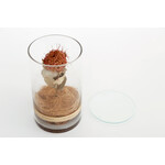 DRY CYLINDER with LID　Banksia Coccinea 