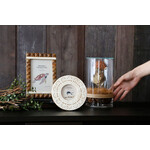 DRY CYLINDER with LID　Banksia Coccinea 