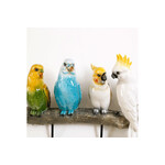 エキゾチックバード コ―トラック 