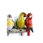 エキゾチックバード コ―トラック 