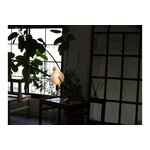 NOSTALGIA LED BULB BIG ランプ 