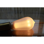 NOSTALGIA LED BULB BIG ランプ 