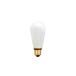 NOSTALGIA LED BULB BIG ランプ 