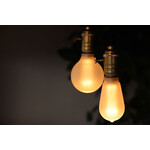 NOSTALGIA LED BULB BIG ランプ 