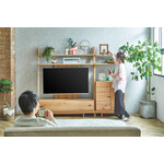 IGETA（イゲタ）テレビボード 