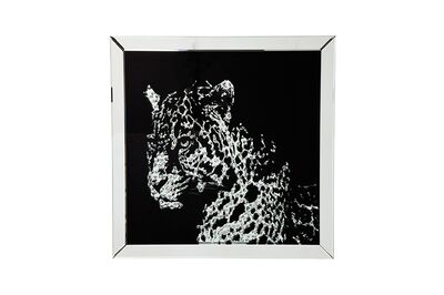 Picture Frame Mirror Leopard 