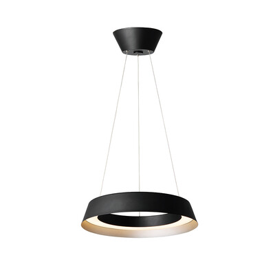 Loop LED-pendant light （ループペンダントライト） BK/CGD