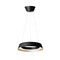 Loop LED-pendant light （ループペンダントライト） BK/CGD