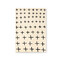 CROSSES C1（クロッセス C1） 