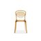 カリガリス パリジェンヌ ダイニングチェア ／ Calligaris PARISIENNE Dining chair[CS1263] P276 カラー：P276 アンバー