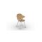 カリガリス サントロペ ダイニングチェア (木脚) ／ Calligaris SAINT TROPEZ Dining chair[CS1855] P276 