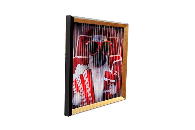 【廃番】Picture Frame Art 3D Funky Dog 43x43cm 